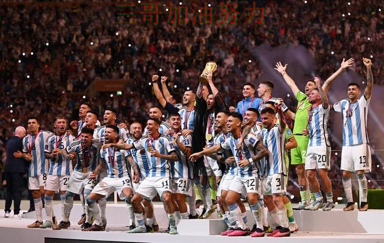 世界杯投注平台怎么选如何选？结合平台排行一次讲透（FIFA World Cup 2026）